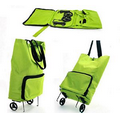 Multi-Function Shopping Cart